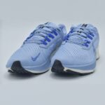 NIke Air zoom pegasus 38 DM1610-400