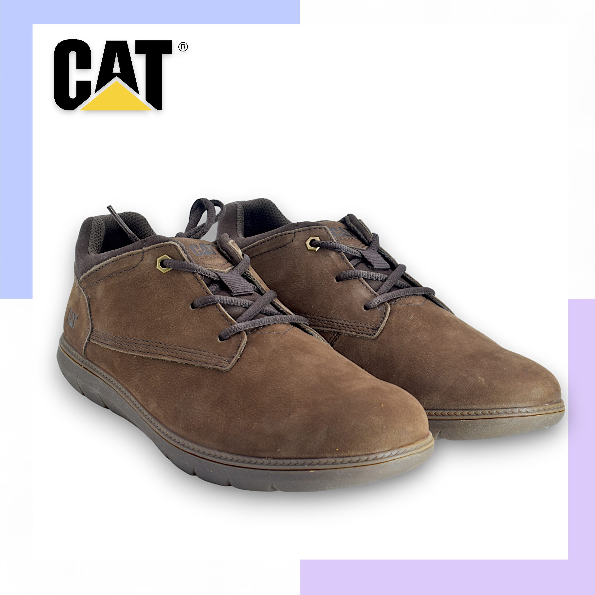 cat-men-shoe.jpg