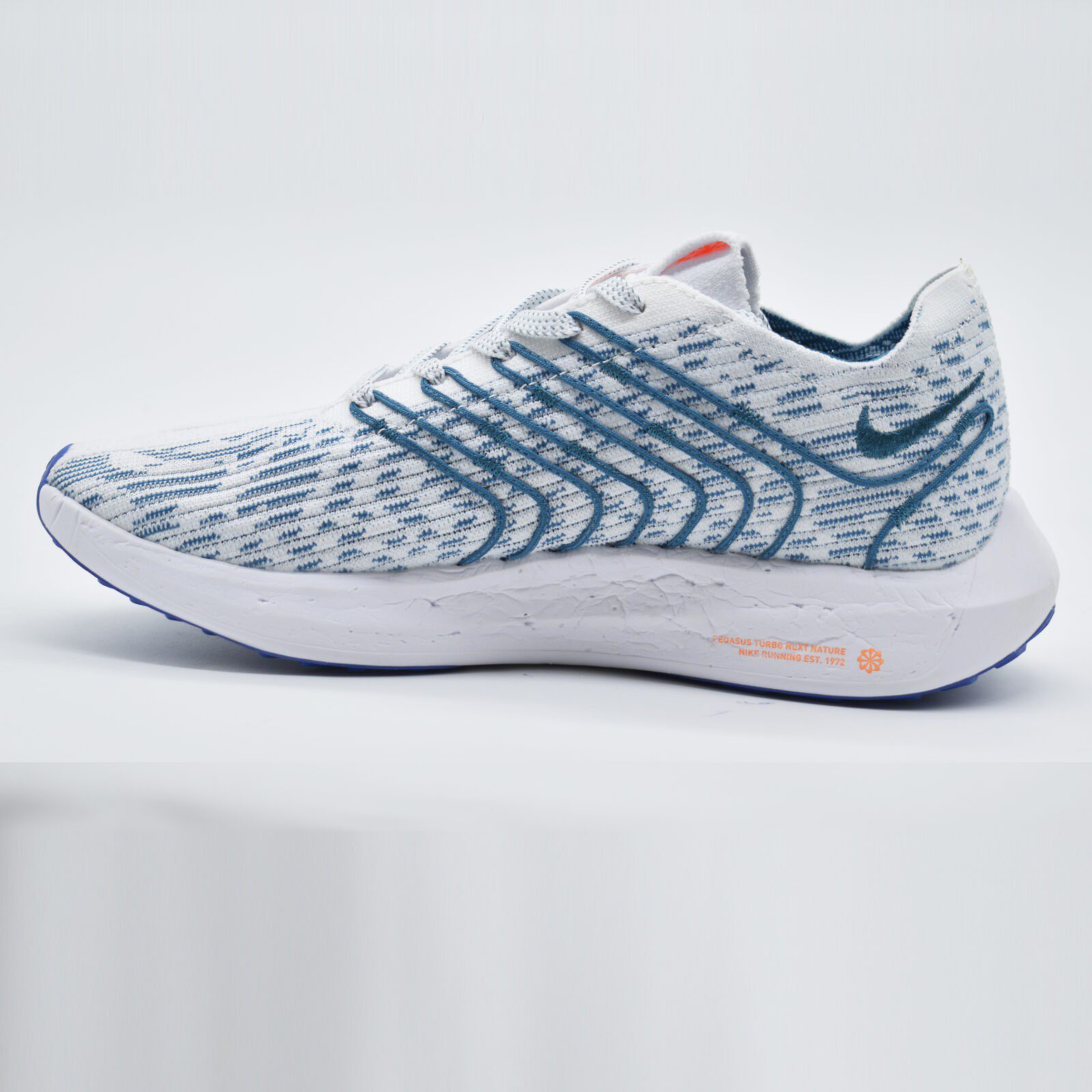 nike-pegasus-2.jpg